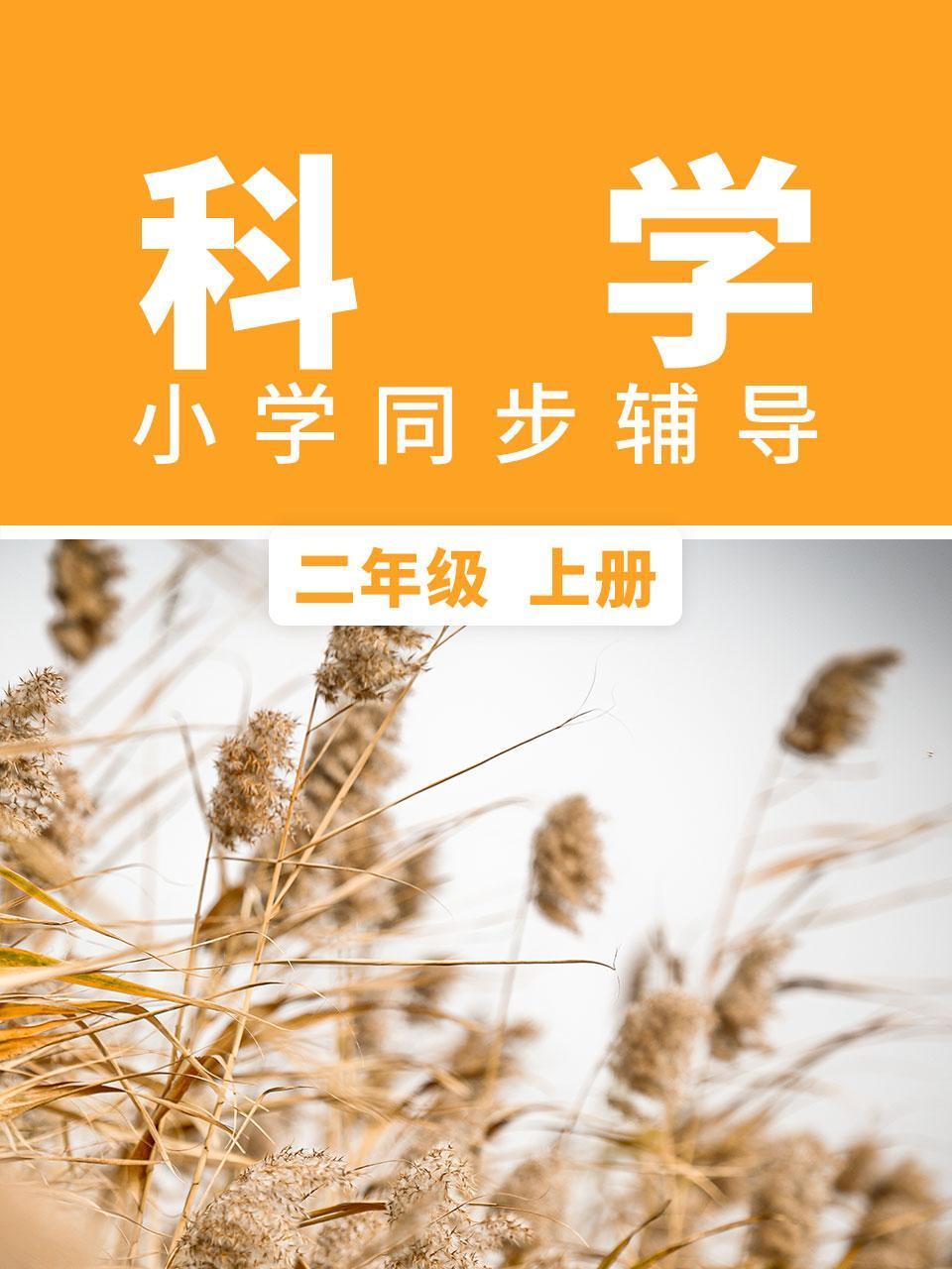 断林镇谜案第六季