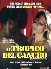 新呦u视频一区二区