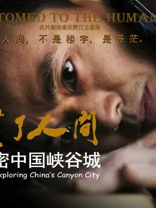 斯图尔特三级片